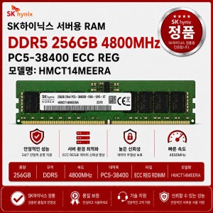 SK하이닉스 DDR5 서버용 ECC REG 256GB 4800 PC5 38400