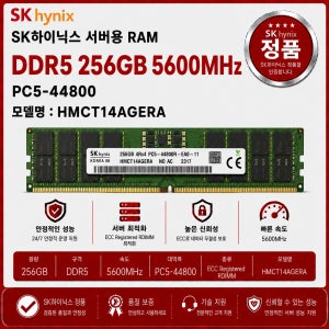 SK하이닉스 DDR5 서버용 ECC REG 256GB 5600 PC5 44800