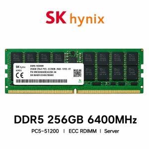 SK하이닉스 서버용 메모리 DDR5 256GB 6400 PC5 51200 ECC REG