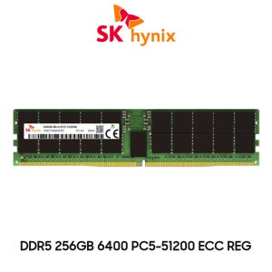SK하이닉스 서버용 메모리 DDR5 256GB 6400 PC5 51200 ECC REG