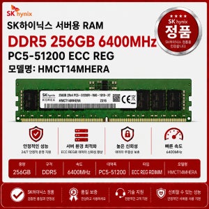 SK하이닉스 DDR5 서버용 ECC REG 256GB 6400 PC5 51200