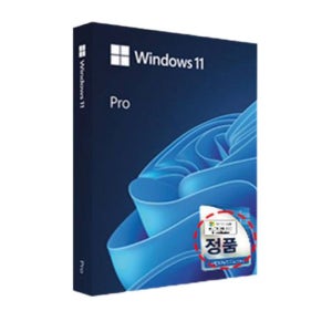 윈도우 11 프로 FPP 처음사용자용 한글 리테일 USB 풀패키지 한글 지원