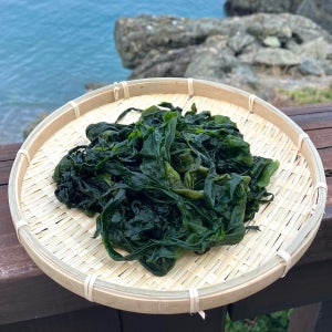 완도산 염장 미역 3kg 5kg 10kg 원산지 국산 전라남도 완도
