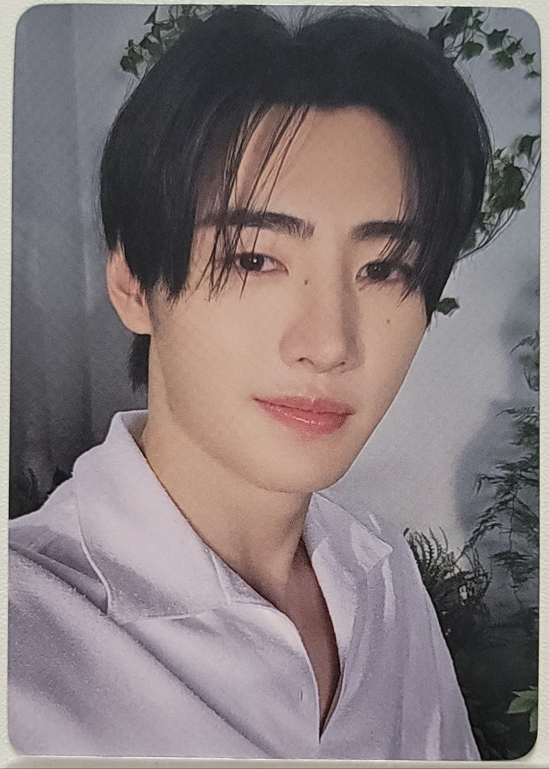 ENHYPEN Sunghoon Photocard