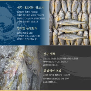 제주산참조기 마리당60~90g사이 185미내외