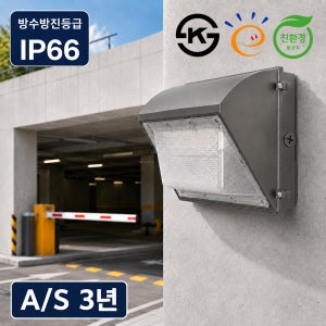 LED 주차장 진입등 벽부등 터널등 40W 주광색 고효율 친환경 생활방수 야외조명