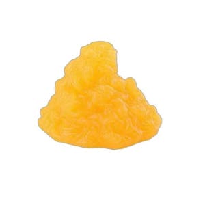 지방 조직 모형 근육 실리콘 젤 의대생 헬스장 교육 (1kg) 근육 모형 (진열판 포함)