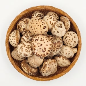 청정들 건 화고버섯 1kg 특품 백화고 표고버섯 중국산 선물용500g