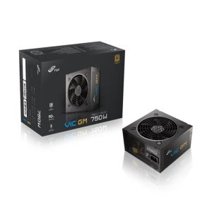 FSP VIC GM 750W 80PLUS골드 풀모듈러 ATX 3.1