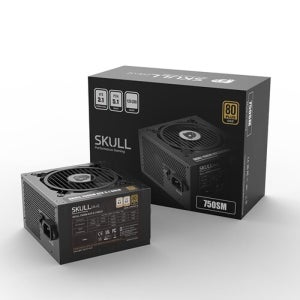 NEWZEN SKULL 750SM 모듈러 ATX3.1 80PLUS골드
