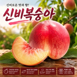 여름 제철과일 김천 신비복숭아 대과 딱딱이 말랑이 천도 백도 황도
