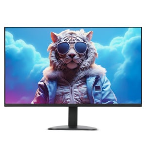 포인트프로덕트 24PMF100 IPS 100Hz 아이케어 무경점 / 24인치모니터