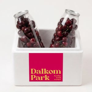 달콤파크 항공직송 테이크아웃 생 체리 10R, 450g, 2개