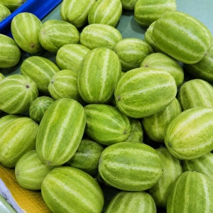 장아찌용 성주 참외 5kg 2kg 청참외 제철