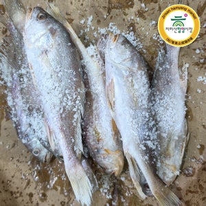 [함양시장] 백전상회 침조기 제사용 3마리(36-40cm 내외)(긴가이석태)