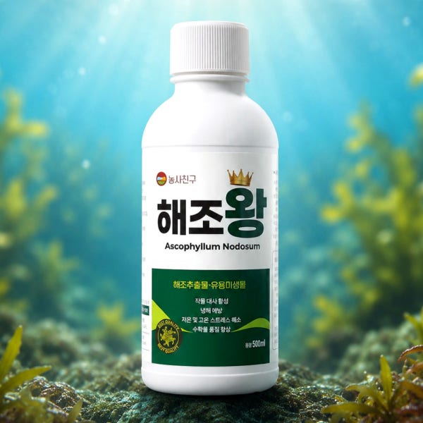 해조추출물 미생물 해조왕 순멎이 뿌리 냉해 고추 배추 농약 발근제 아님