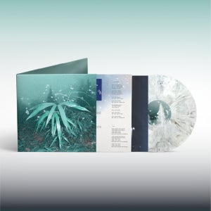 신해경 LP 속꿈, 속꿈 (Special Marble)