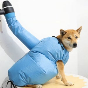 강아지 고양이 목욕 후 펫 드라이 건조복 털날림 방지 안전하고 빠르고 간편한 필수 홈케어