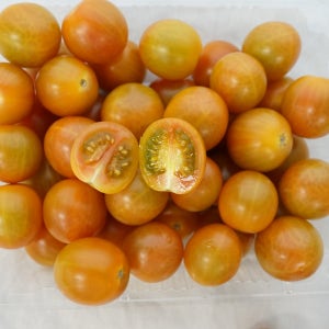 [한정초특가] 자몽마토 스테비아 토마토 500g 2kg