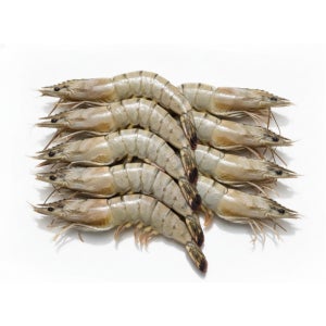 블랙타이거새우 냉동 대하 500g 소금구이 제철 캠핑용 업소용
