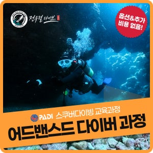 PADI 시흥 스킨스쿠버다이빙강습 - 어드밴스드 오픈워터다이버 교육과정