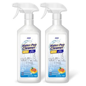 DASH 워터팝 물때 클리너 750ml 2개