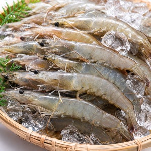 급냉 자연산 대하 1kg 2kg 3kg 4kg 5kg 탱글한 프리미엄 왕새우