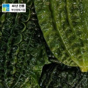 [삼화해조류] 염장 쇠미역 곰피 10kg