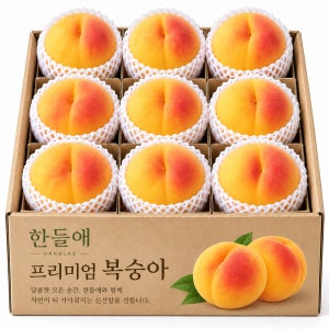 [상위 1%] 고당도 프리미엄 황도 황도복숭아 복숭아 물복 조황도 황방 용택골드 말랑이