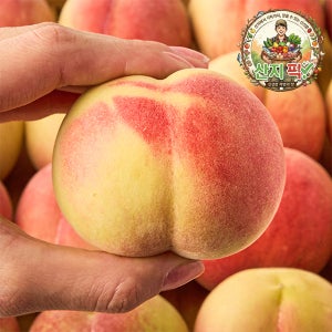 산지직송 대극천 반납작 복숭아 당도선별 고당도 쫀득 달달 아삭 소과, 1kg, 1개