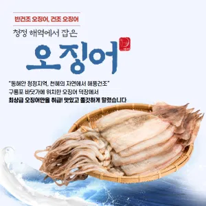 포항 구룡포 반건조 오징어 피데기
