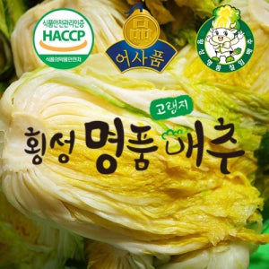 HACCP 강원도 고랭지 해썹 절임배추 20kg
