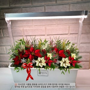 잘자람 식물재배기 식물등+저면관수 화분+배양토 풀세트, 거실안에 베란다텃밭 창빛농원