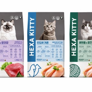 헥사 키티 고양이 사료 4kg