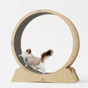 저소음 고양이 런닝머신 안전 잠금 장치 비만묘 홈트레이닝 지름 100cm
