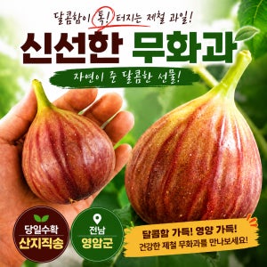 [예약주문] 무화과 최상급 생과 당일수확 산지직송 1kg, 1개
