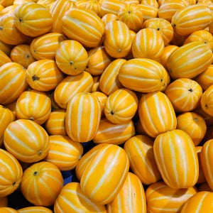 참외 가정용 못난이 10kg 성주 초특가