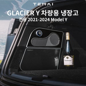 TEMAI 테슬라 모델Y 차량용 냉장고2021-2024트렁크 전용 압축기 냉각냉동고Y16