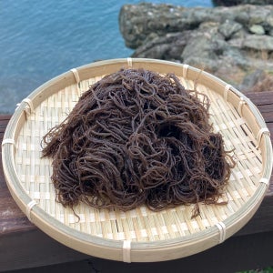 완도산 염장 꼬시래기 1kg 3kg 5kg 원산지 국산 전라남도 완도