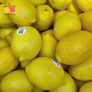 호주 씨없는 팬시 레몬 중과 17kg (165입 내외)