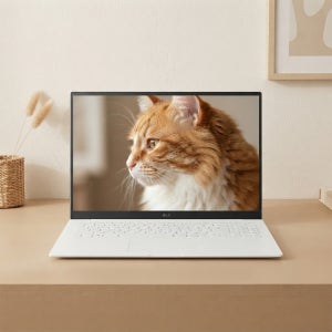LG 그램프로17 17ZD90TP-GX56K 인텔 U5 225H DDR5 16GB, 256GB, Win11설치
