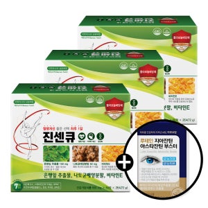 [12개월분] 혈액순환 진센큐 영양제 은행잎추출물 징코 나토키나제 부원료 병풀잎 100 120정, 3개
