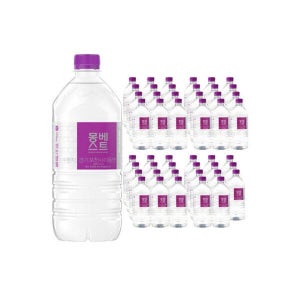 이지하우스 몽베스트 무라벨 생수 1L x 48병 682924