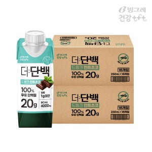 빙그레 더단백 드링크 단백질음료 민트초코 250ml 36개