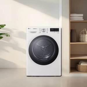 LG 트롬 건조기 10kg 원룸 가정용 소형 듀얼인버터 히트펌프 화이트 RH10WTW