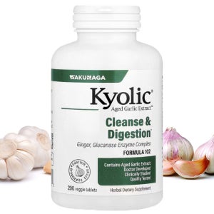 쿄릭 Kyolic 숙성 마늘 600mg 200정 교릭 Garlic 고약사 약들약