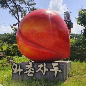 와촌 자두 고당도 산지직송 제철자두 1kg 2kg