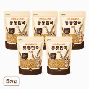 [통통잡곡] 2025년 캐나다산 귀리 1.5kg, 5개