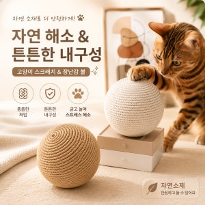 고양이 장난감 사냥놀이 스트레스 해소 대형 스크래치볼 8cm 반려동물 장난감 2개