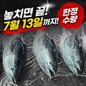 참치회 한번도 얼리지 않은 생참치 참다랑어 참치 뱃살 가마도로 필렛 국내산 150kg급